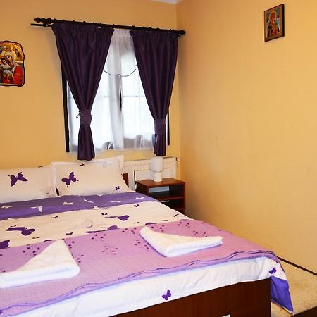 Borşa Casuta Lu' Liviu 빌라 외부 사진